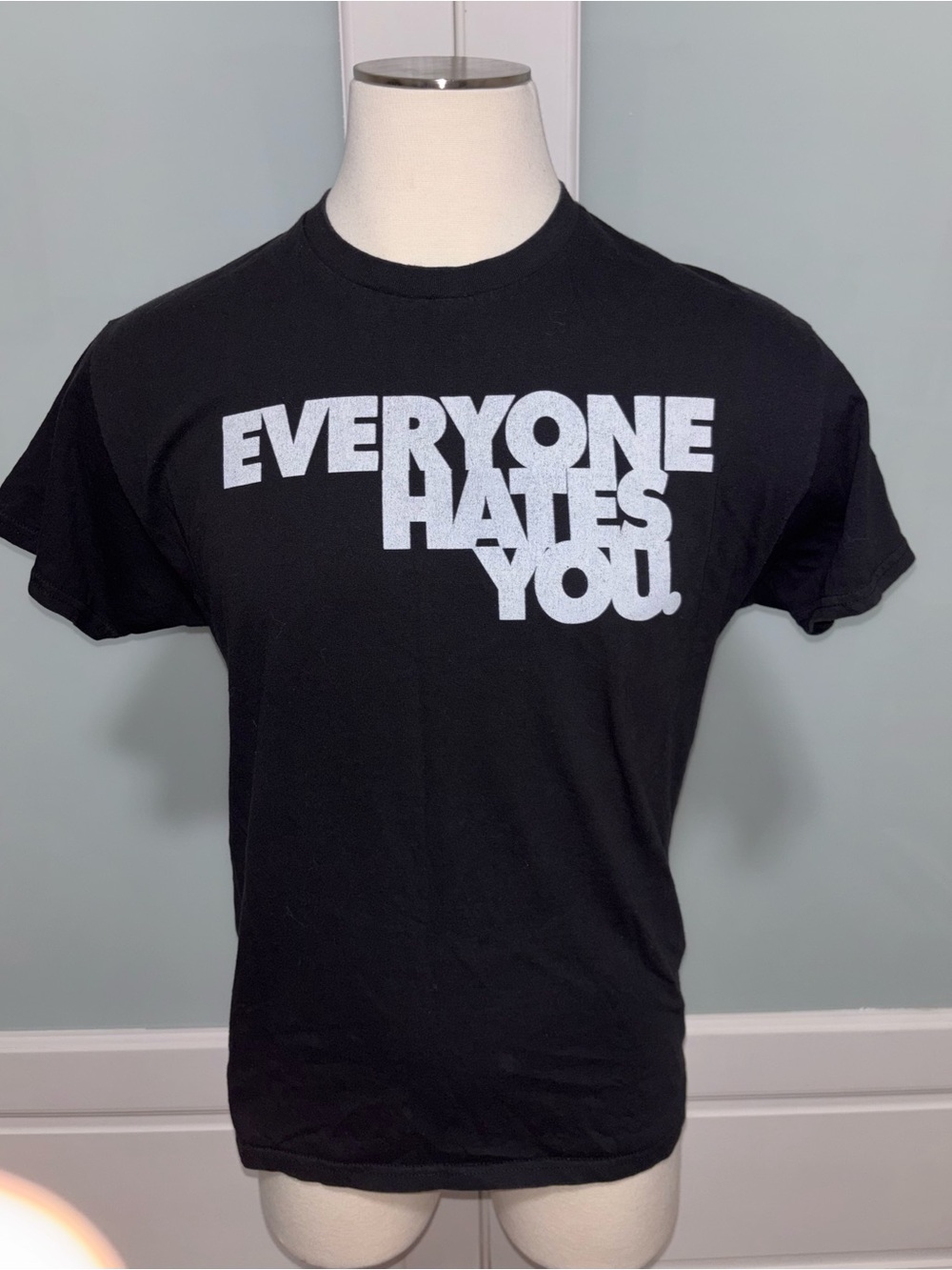 Rehab Everyone Hates You Graphic Tee - Men's L (Fits M-L) — Athletic Preppy Goth